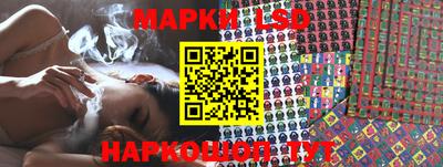 шишки Бузулук
