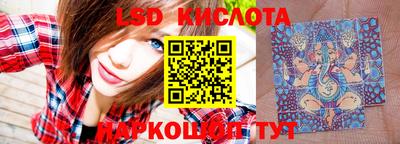 шишки Бузулук